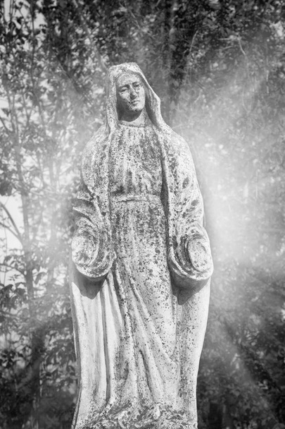 sevgi ve nezaket sembolü olarak Meryem Ana heykeli - Fotoğraf, Görsel