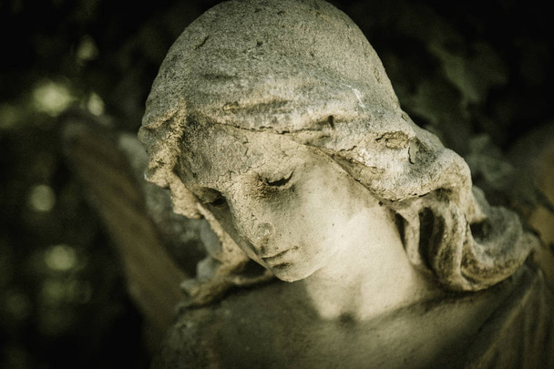 Face of beautiful angel. Close up of marble sculpture with a sweet expression that looks down.  - Photo, Image
