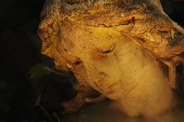 Урожайне зображення сумного ангела на кладовищі на тлі листя (деталі
) - Фото, зображення