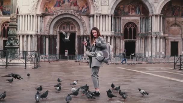 Pigeon sits on arm of beautiful female tourist with smartphone near San Marco cathedral in Venice, Italy slow motion. - Filmati, video