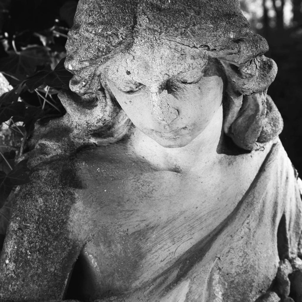 Vintage obraz smutný anděl na hřbitov na pozadí listů (detaily) - Fotografie, Obrázek