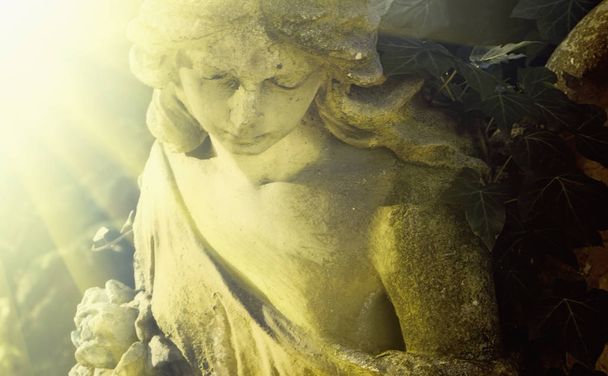 Detailní záběr z antické sochy andělů strážných (vintage styl fotografie) - Fotografie, Obrázek