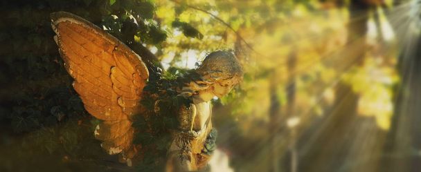 Ангел в солнечном свете (античная статуя
) - Фото, изображение