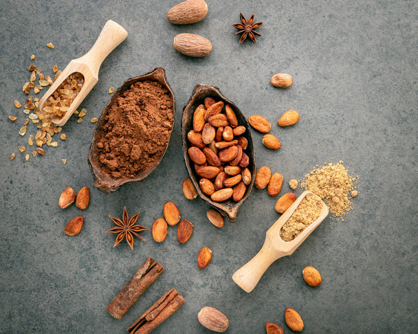 Какао порошок и какао бобы на каменном фоне
. - Фото, изображение