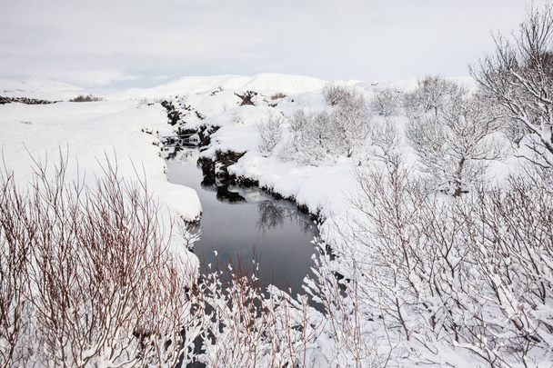 Thingvellir National Park or better known as Iceland pingvellir National Park during winter - Photo, Image