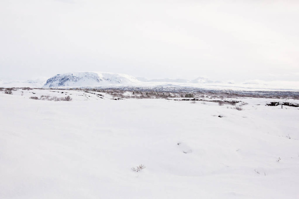 Thingvellir kansallispuisto tai paremmin tunnettu Islanti pingvellir kansallispuisto talvella - Valokuva, kuva