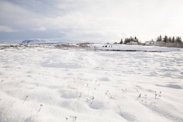 Thingvellir National Park or better known as Iceland pingvellir National Park during winter - Фото, изображение