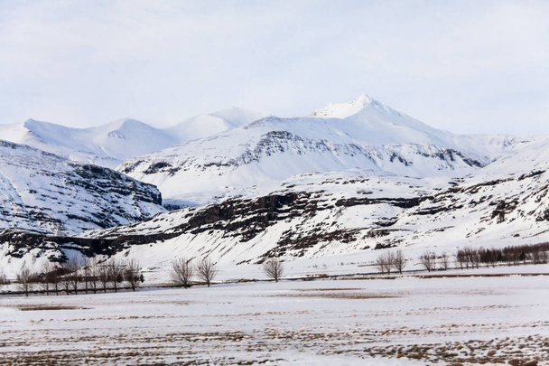 Gerdi vista pousada durante o inverno neve em Hofn Islândia
 - Foto, Imagem