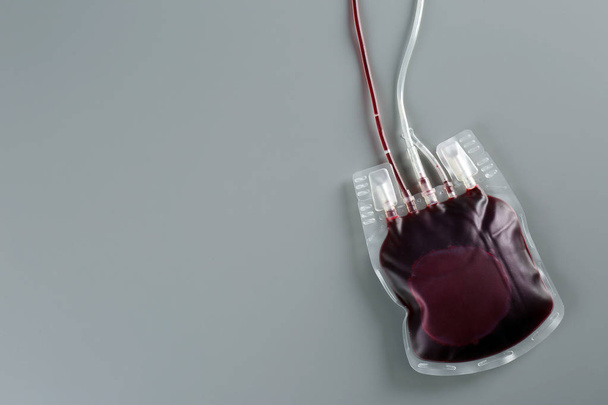 Blood pack on gray background, top view with space for text. Donation day - Foto, immagini