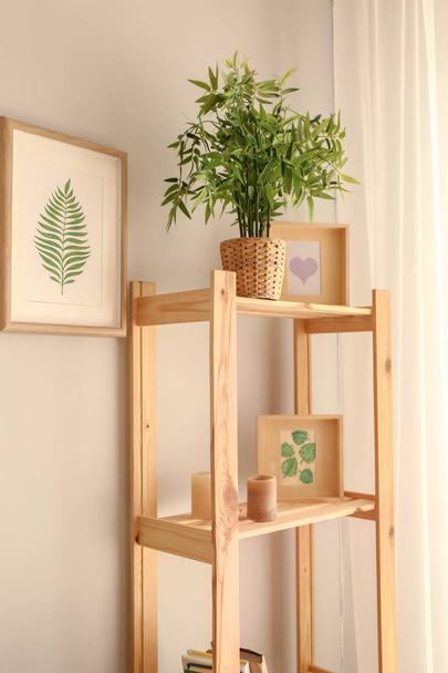 Ραφιέρα με πράσινο φυτό και διακόσμηση στο δωμάτιο - Φωτογραφία, εικόνα