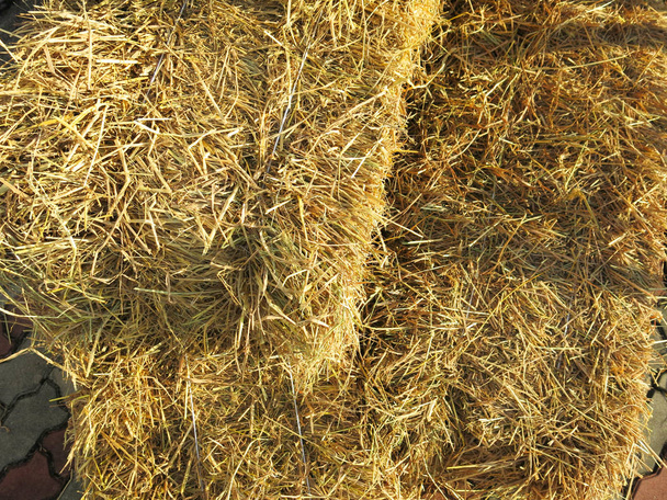 тюки сена на фоне соломы  - Фото, изображение