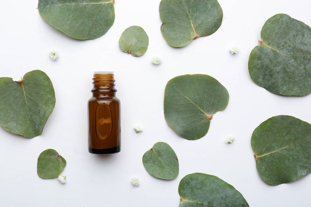 Botella de aceite esencial de eucalipto y hojas sobre fondo blanco
 - Foto, imagen