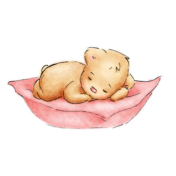 Sleeping Baby Bear - Photo, Image
