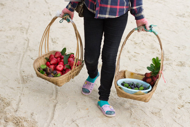 вуличний постачальник фруктів на пляжі
 - Фото, зображення