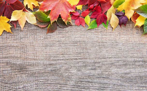 autumn leaves on a old wooden table - Photo, Image