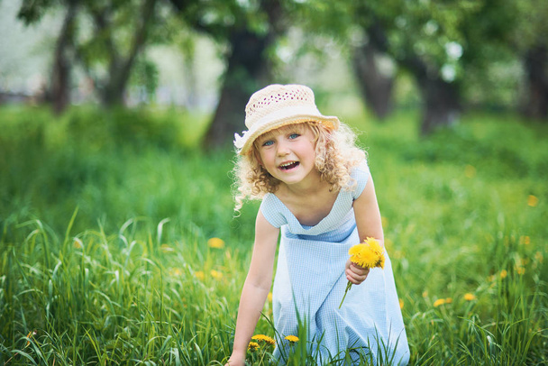 Girl collects dandelions bouquet for a wreath in meadow of orchard. Beautiful smiling little girl playing outside on sunny day. Child in green grass among spring flowers. Allergy season - Foto, Imagen