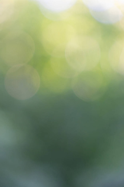 Abstract green yellow blurred bokeh background. Beautiful layout - 写真・画像