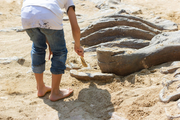 Niños aprendiendo sobre, Excavación de fósiles de dinosaurios simulación en el parque
. - Foto, Imagen