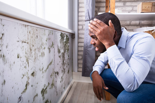 Side View Of A Shocked Young African Man Looking At Mold On Wall - Foto, Bild