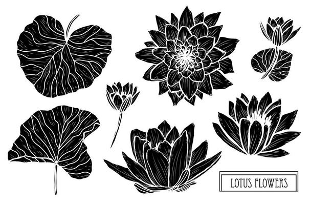 Decorative lotus flowers set, design elements. Can be used for cards, invitations, banners, posters, print design. Floral background in line art style - Διάνυσμα, εικόνα