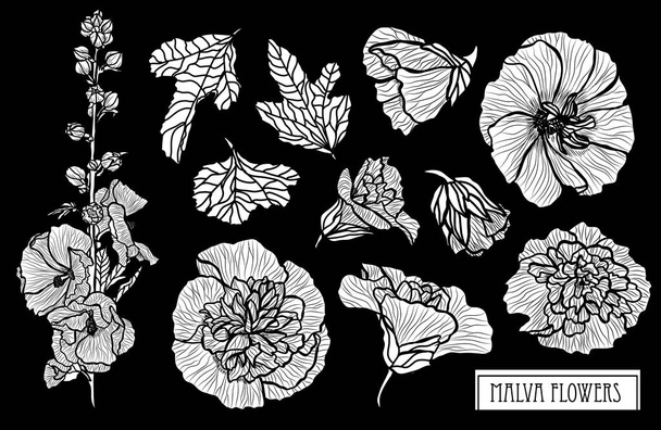 Decorative malva flowers set, design elements. Can be used for cards, invitations, banners, posters, print design. Floral background in line art style - Вектор,изображение