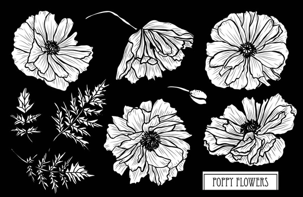 Decorative poppy flowers set, design elements. Can be used for cards, invitations, banners, posters, print design. Floral background in line art style - Вектор,изображение