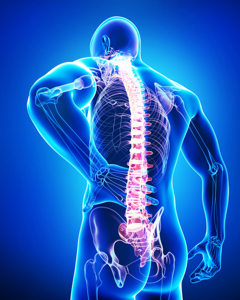 male spine pain - Photo, Image