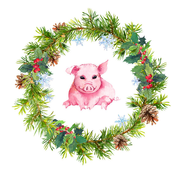 Boże Narodzenie wieniec - jodła, Jemioła i ładny świnia. Akwarela - Zdjęcie, obraz
