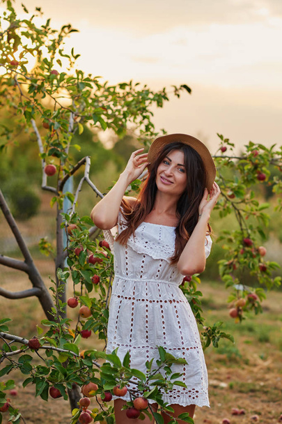 Beautiful young woman picking ripe organic apples in orchard or on farm on fall day. Woman hand picking an apple. Harvest Concept.Garden. Healthy Food. Outdoors.Park. Woman in hat in garden - Photo, image