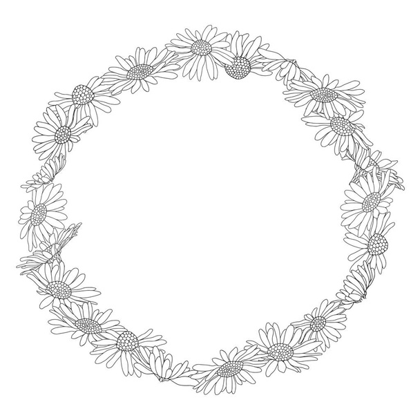Corona con flores de margarita sobre un fondo blanco. Vector redondo
  - Vector, Imagen