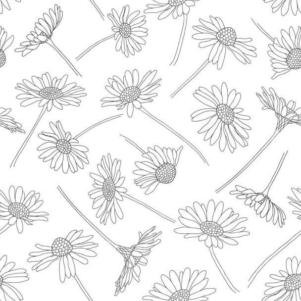 Seamless pattern with daisy flowers. Monochrome vector  - Vektör, Görsel