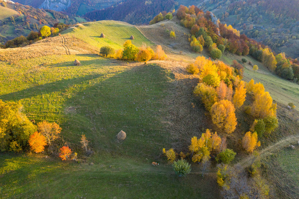 Aerial drone shot over autumn scenery in Transylvania, Romania - Photo, image