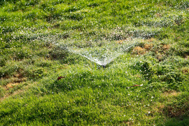 Rozmyte, system nawadniania podlewanie zielona trawa tło bokeh. - Zdjęcie, obraz