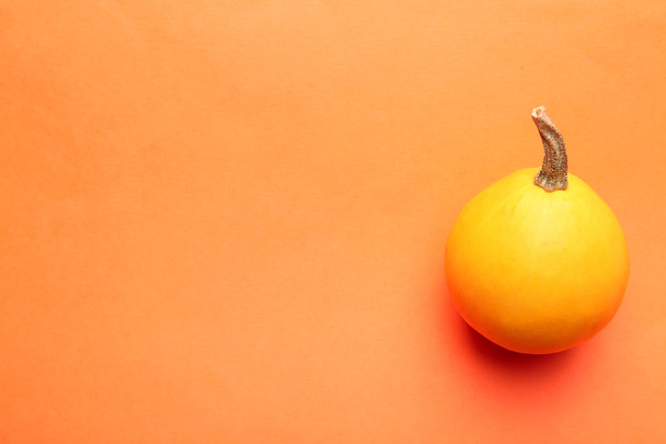 One small yellow pumpkin on orange background. - Valokuva, kuva