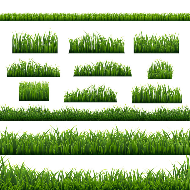 緑の草のパノラマの白い背景,ベクトルイラスト - ベクター画像