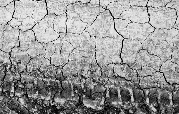 cracked earth background texture - Photo, Image