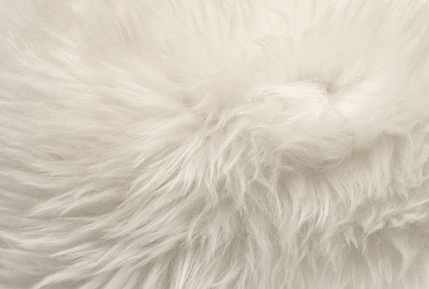 Branco animal lã textura fundo, bege lã de ovelha natural, close-up textura de pelúcia macia pelúcia - Foto, Imagem