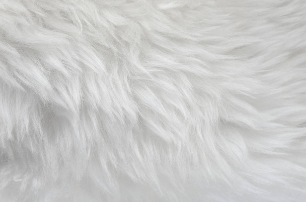 Фон из белой шерсти, бежевая натуральная овечья шерсть, крупным планом текстура плюшевого пушистого меха - Фото, изображение