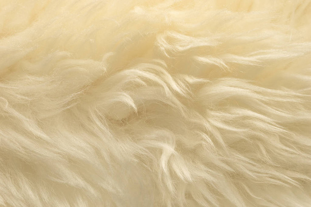 Witte dierlijke wol textuur achtergrond, beige natuurlijke schapenwol, close-up textuur van pluche pluizige vacht - Foto, afbeelding
