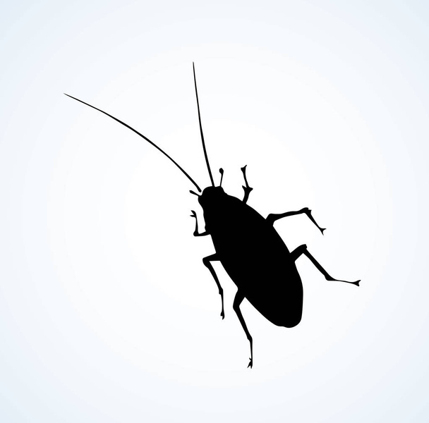 Starý hrubý domácí Blattodea termitů cucaracha můra na bílém pozadí. Tmavě černá linka inkoustu ručně kreslenou insecta logo piktogram v retro umění obrysu ryté stylu tisku na výkresovém prostoru pro text. Detailní pohled - Vektor, obrázek