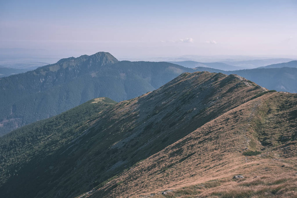 κορυφές βουνών δυτικά Καρπάθια υπό συννεφιασμένο ουρανό το φθινόπωρο  - Φωτογραφία, εικόνα