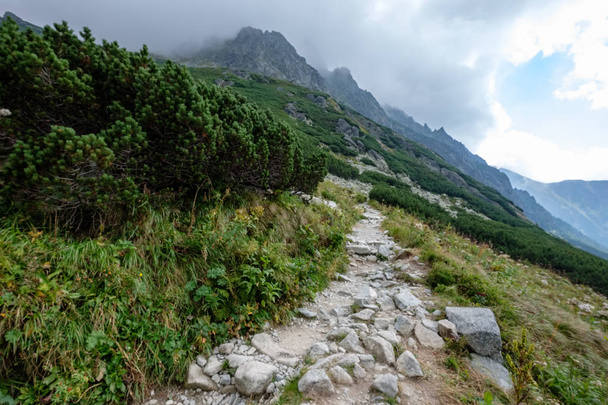 Westelijke Karpaten met toeristische wandelroutes. Tatra, Slowakije - Foto, afbeelding