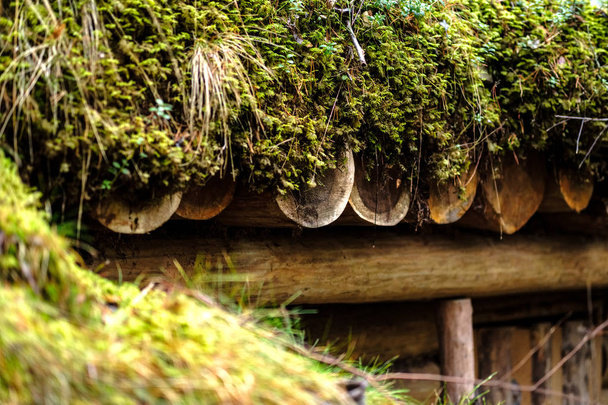 oude houten trenshes in bos in Letland, Lozmetejkalns - Foto, afbeelding