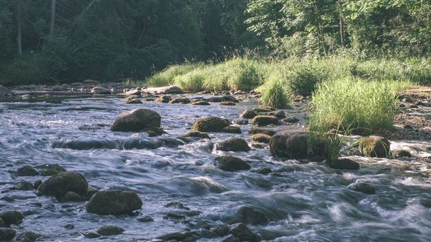 beautiful rocky stream in forest at summer. Amata river in Latvia near Cesis  - Fotoğraf, Görsel