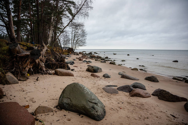 skalnaté pobřeží v Lotyšsku toku vody v moři velké kameny v pozdním podzimu. nudné barvy - Fotografie, Obrázek