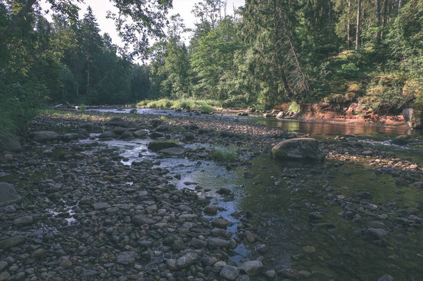 hermoso arroyo rocoso en el bosque en verano. Río Amata en Letonia cerca de Cesis
  - Foto, Imagen