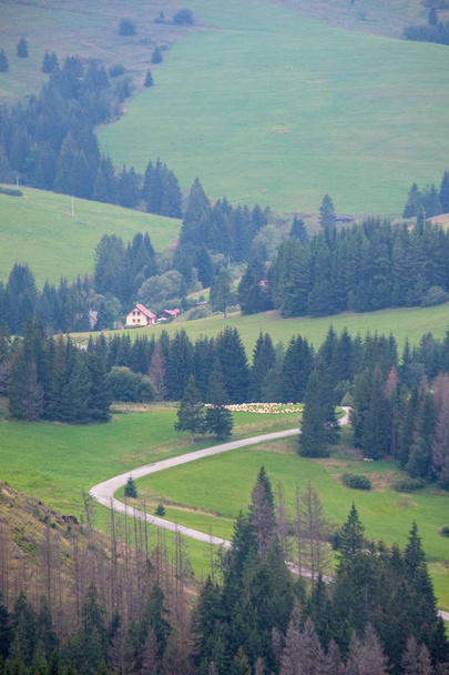 país camino de grava en el prado verde que conduce a las montañas en Eslovaquia
 - Foto, imagen