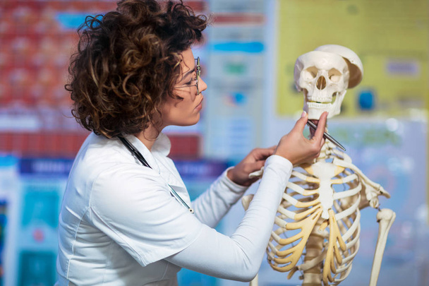 kobieta lekarz nauczania anatomii ludzkiego szkieletu modelu - Zdjęcie, obraz
