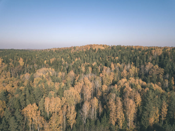 Drohnenbild. Luftaufnahme des ländlichen Raums im Herbst mit gelb und rot gefärbten Bäumen im Wald von oben. Lettland, Tag des farbenfrohen Herbstes - alter Film-Look - Foto, Bild
