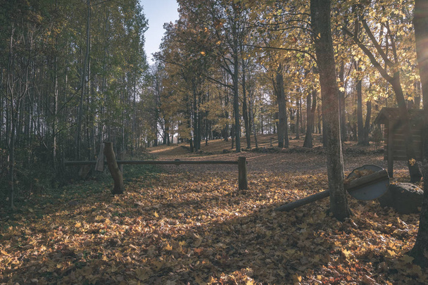 modello di sfondo astratto di foglie di albero giallo autunno. colori caldi - vintage look vecchio film
 - Foto, immagini
